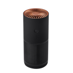 Purificateur d'air portable