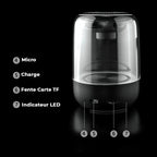 Enceinte design
